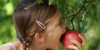 Piger spiser æble fra æbletræ